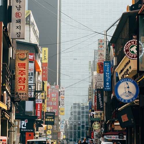 영화와 감동의 향연, 제25회 전주 국제 영화제