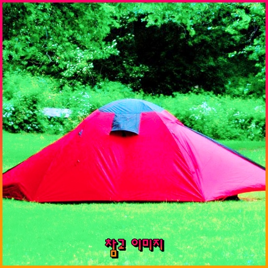 항공권 가격비교의 새로운 방법: 스카이스캐너의 효용