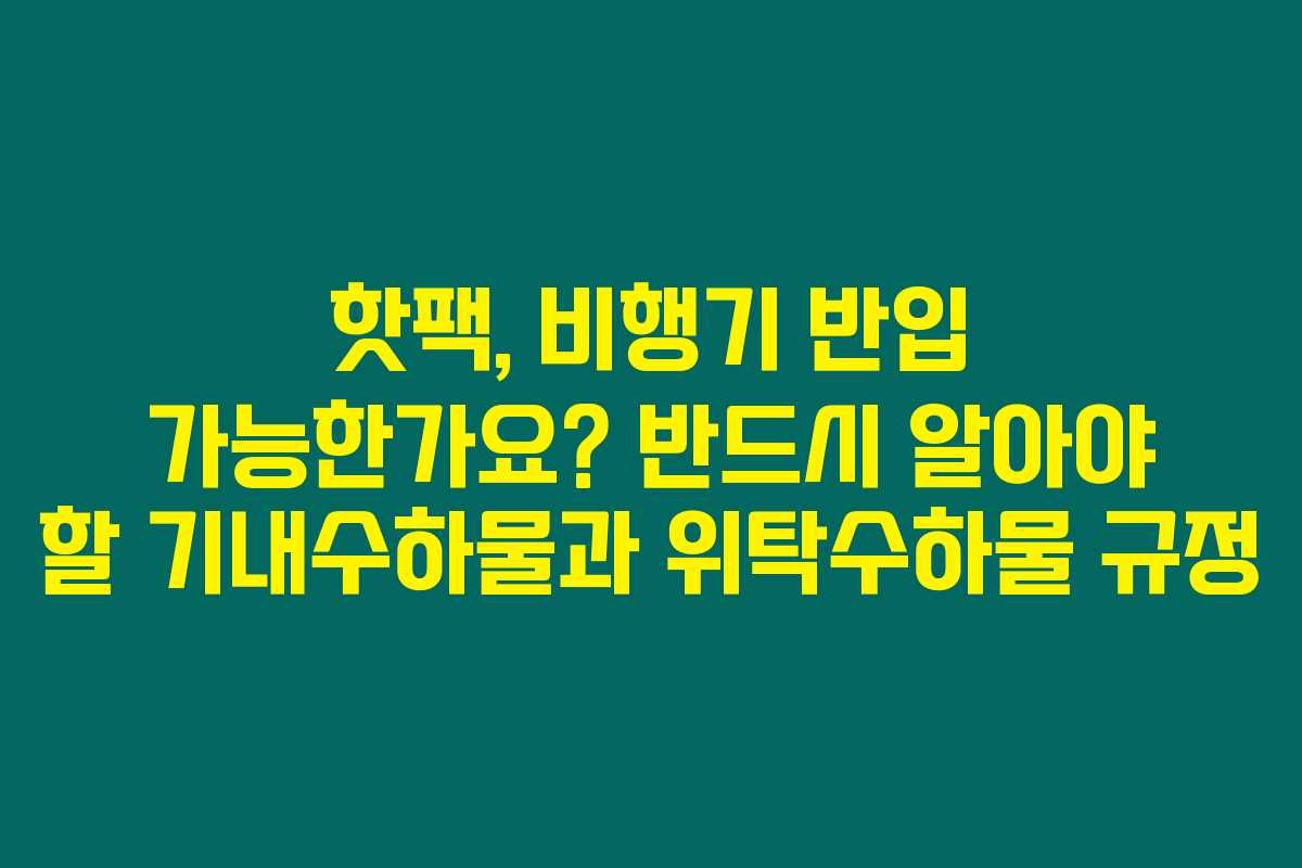 핫팩, 비행기 반입 가능한가요? 반드시 알아야 할 기내수하물과 위탁수하물 규정