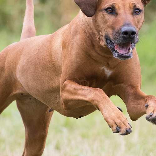 서지안의 감정이 담긴 회상, KBS2 불후의 명곡에서의 특별한 순간