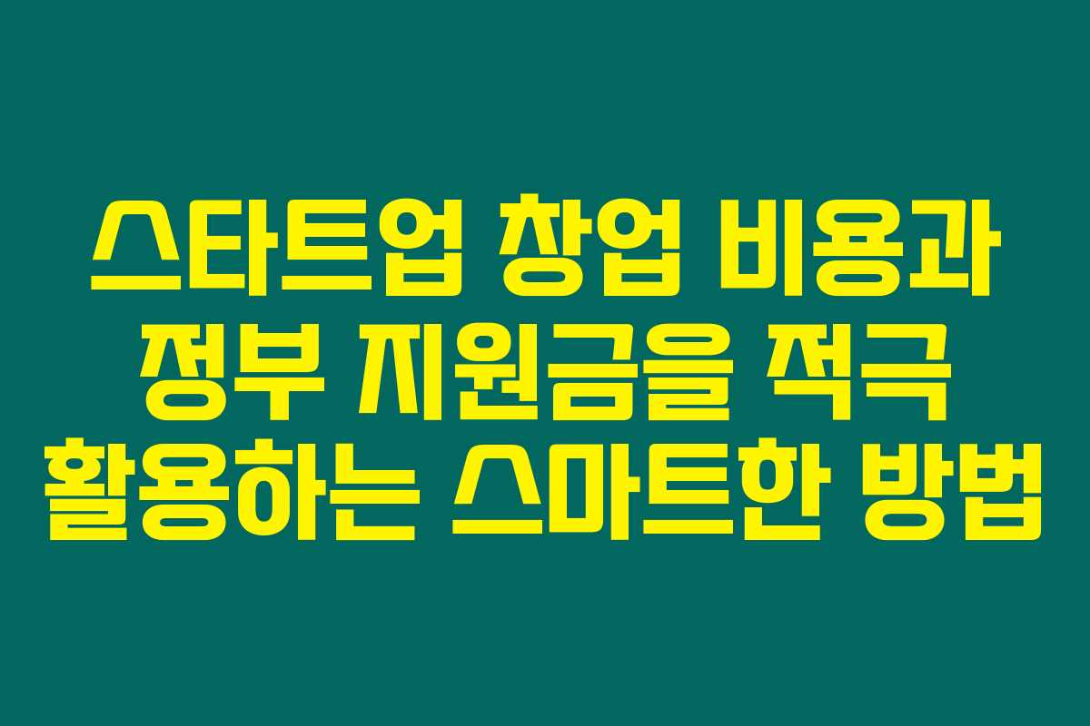 스타트업 창업 비용과 정부 지원금을 적극 활용하는 스마트한 방법 스타트업 창업 비용과 정부 지원금을 적극 활용하는 스마트한 방법