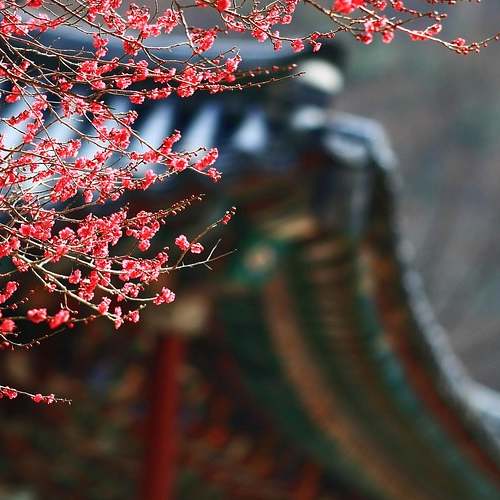 디즈니 주식 분석: 배당금, 실적 및 기술적 관점에서의 주가 전망