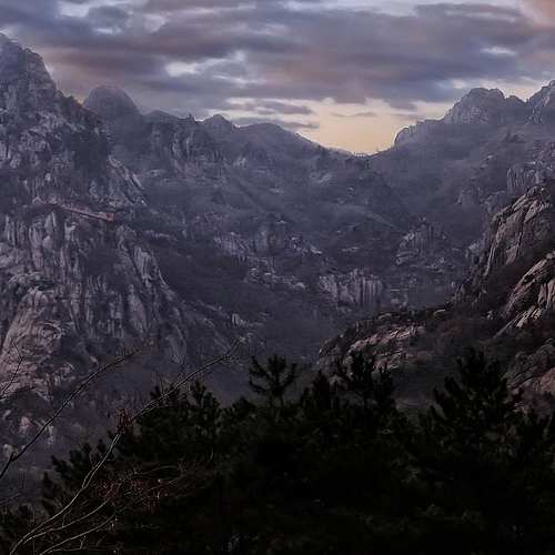 월마트 주가 전망: 미래를 내다보는 현명한 투자 전략