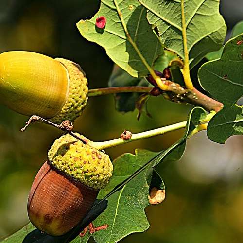 음식물처리기 지원금, 보조금 신청 완벽 가이드