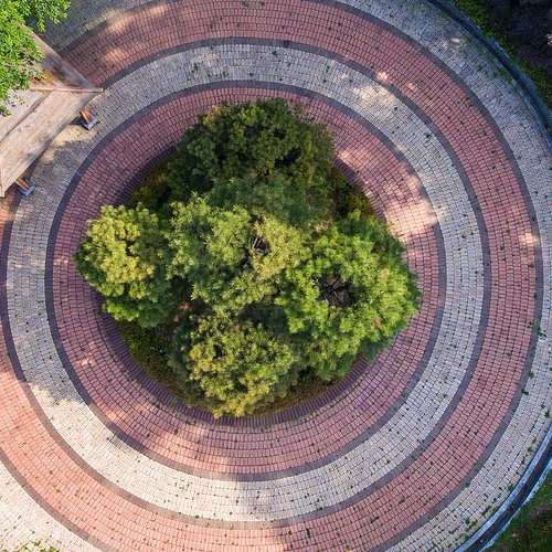 여유증 실비보험, 당신이 알아야 할 보험처리 비용과 보험 가입 방법