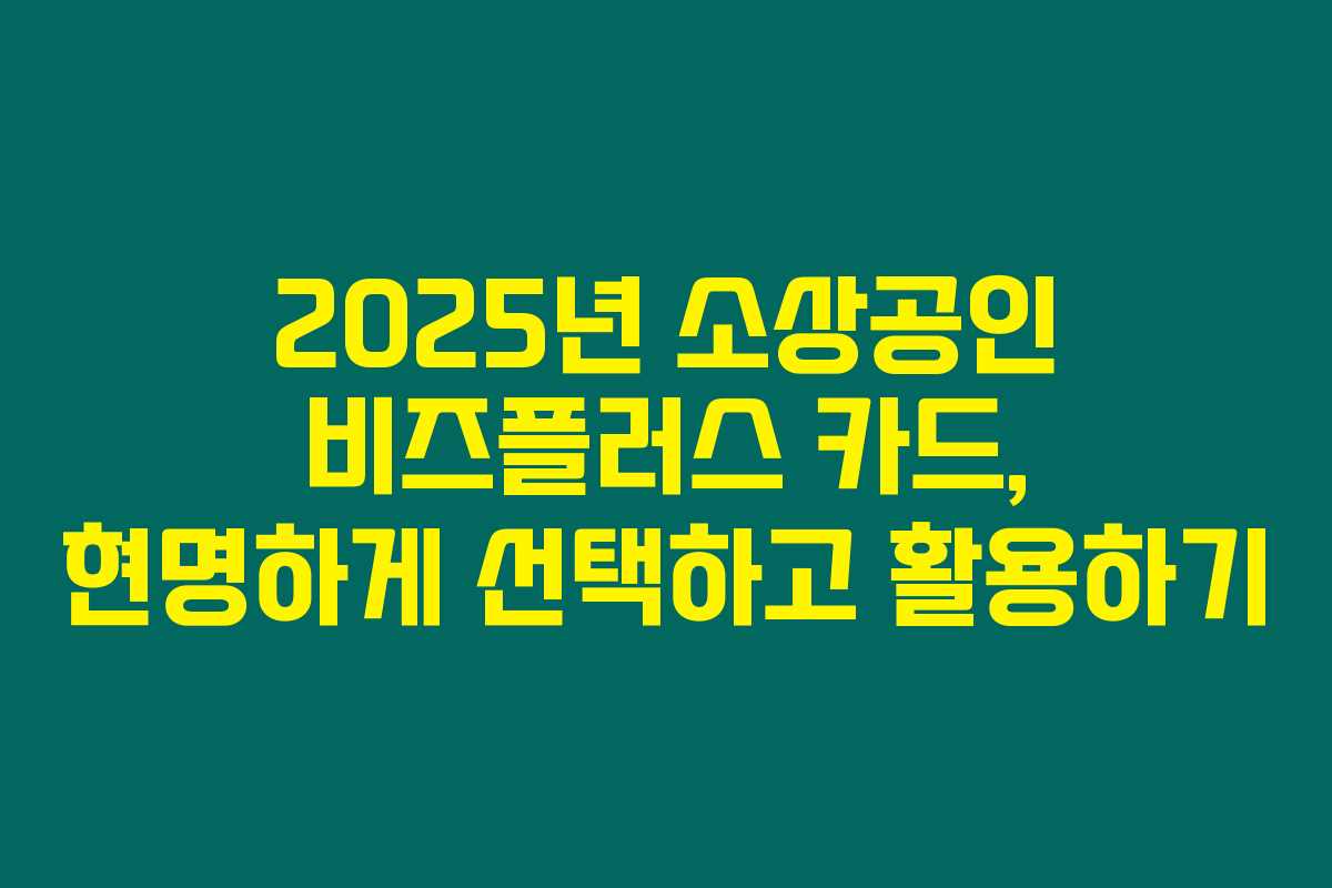 2025년 소상공인 비즈플러스 카드, 현명하게 선택하고 활용하기 2025년 소상공인 비즈플러스 카드, 현명하게 선택하고 활용하기