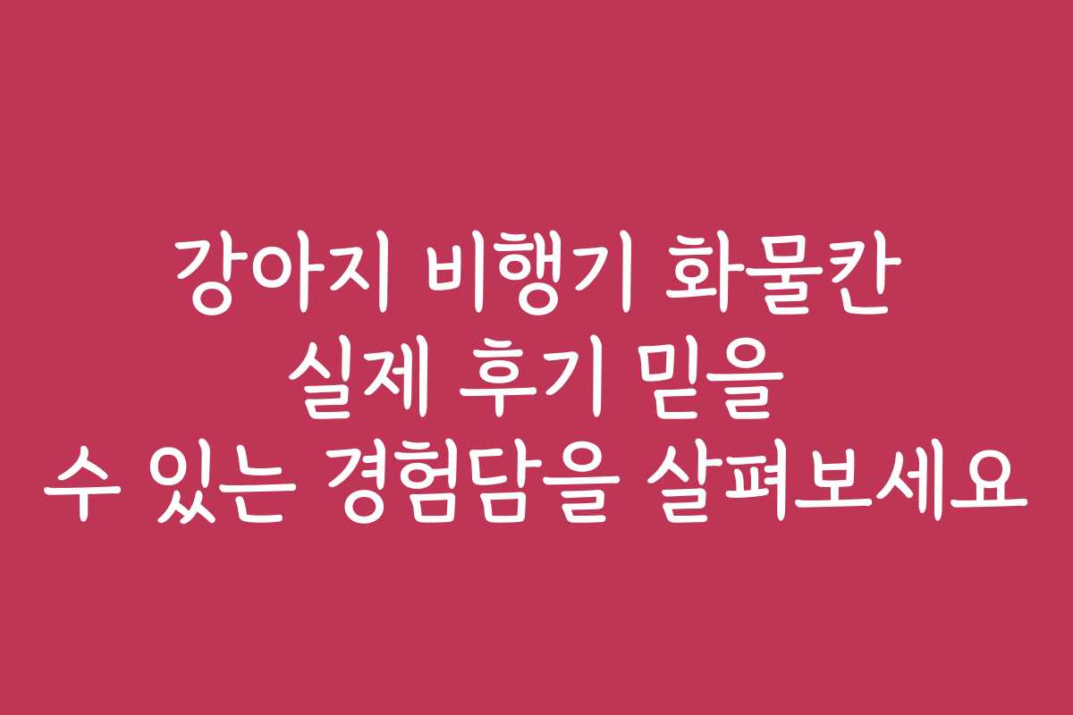 강아지 비행기 화물칸 실제 후기 믿을 수 있는 경험담을 살펴보세요 강아지 비행기 화물칸 실제 후기 믿을 수 있는 경험담을 살펴보세요