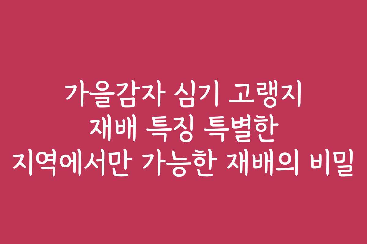 가을감자 심기 고랭지 재배 특징 특별한 지역에서만 가능한 재배의 비밀 가을감자 심기 고랭지 재배 특징 특별한 지역에서만 가능한 재배의 비밀