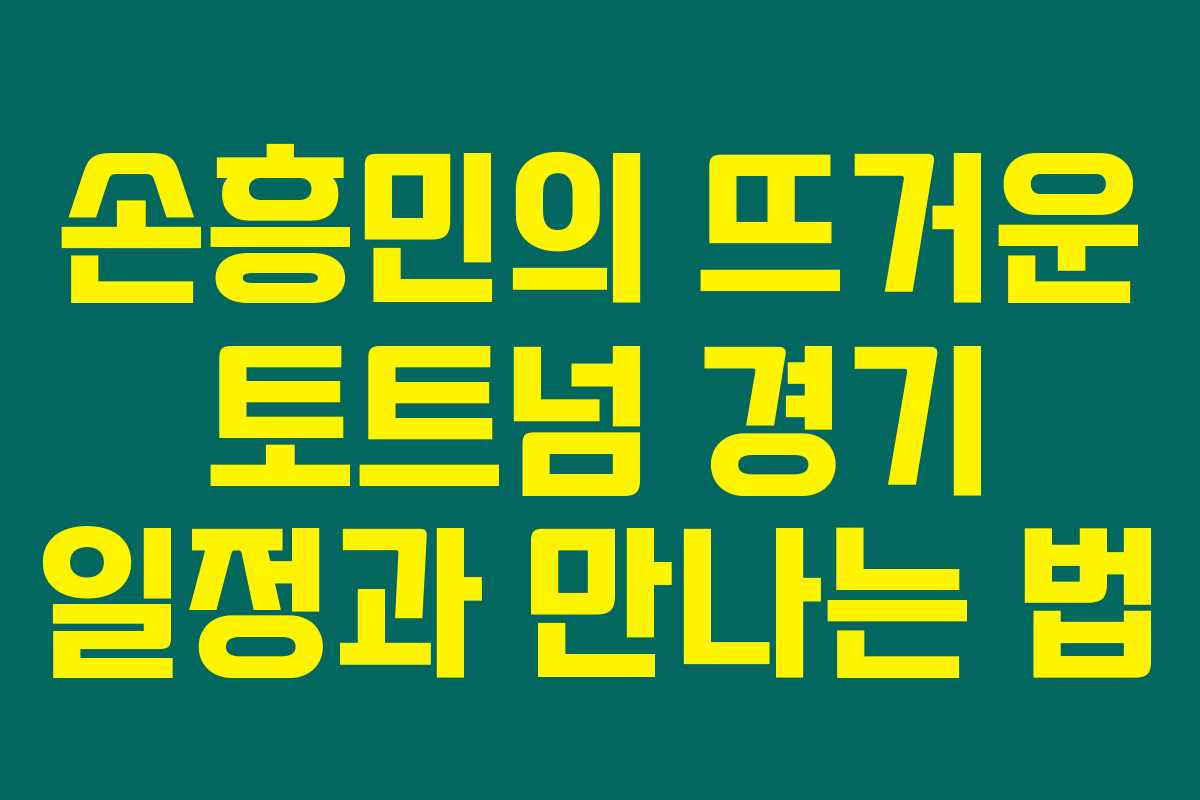 손흥민의 뜨거운 토트넘 경기 일정과 만나는 법 손흥민의 뜨거운 토트넘 경기 일정과 만나는 법