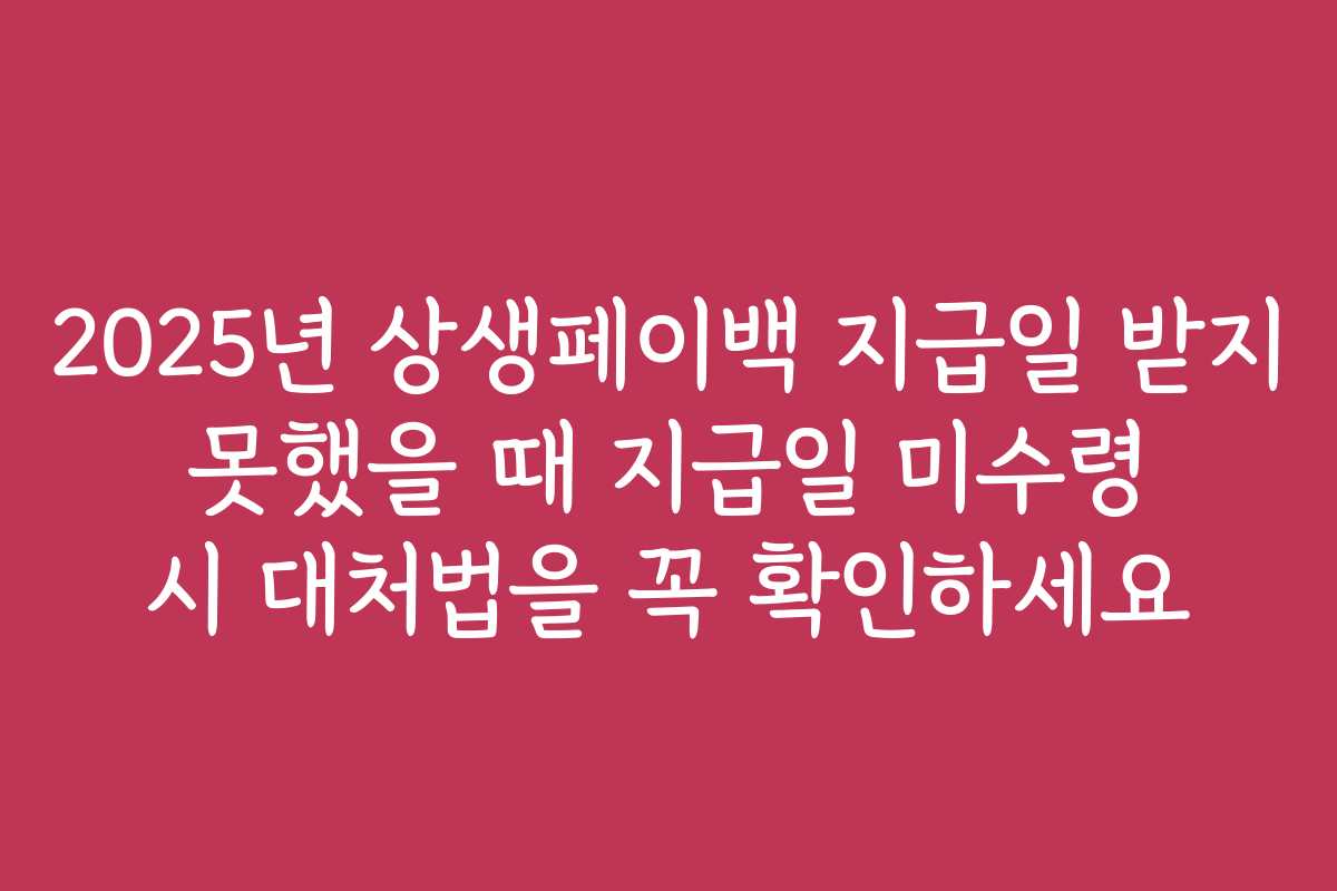 2025년 상생페이백 지급일 받지 못했을 때 지급일 미수령 시 대처법을 꼭 확인하세요 2025년 상생페이백 지급일 받지 못했을 때 지급일 미수령 시 대처법을 꼭 확인하세요