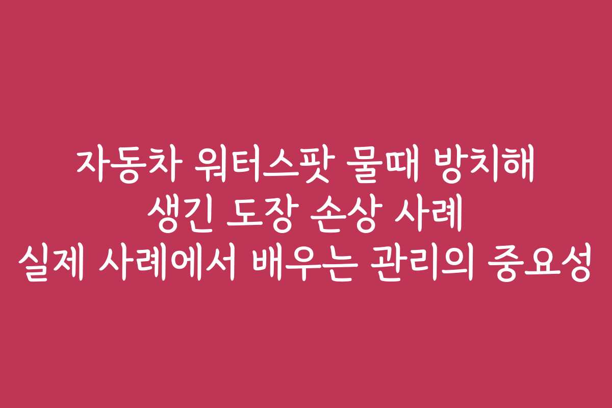 자동차 워터스팟 물때 방치해 생긴 도장 손상 사례 실제 사례에서 배우는 관리의 중요성
