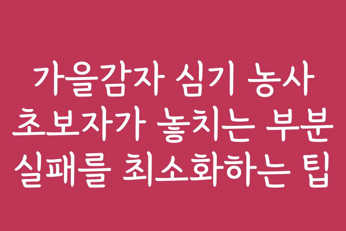 가을감자 심기 농사 초보자가 놓치는 부분 실패를 최소화하는 팁 가을감자 심기 농사 초보자가 놓치는 부분 실패를 최소화하는 팁
