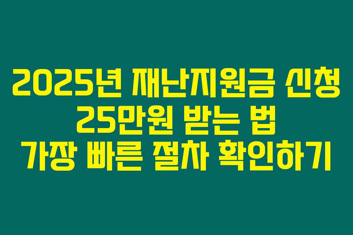 2025년 재난지원금 신청 25만원 받는 법 가장 빠른 절차 확인하기
