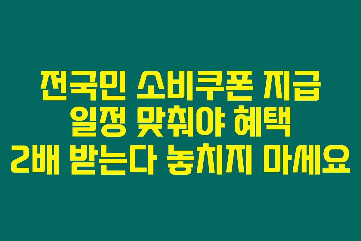 전국민 소비쿠폰 지급 일정 맞춰야 혜택 2배 받는다 놓치지 마세요
