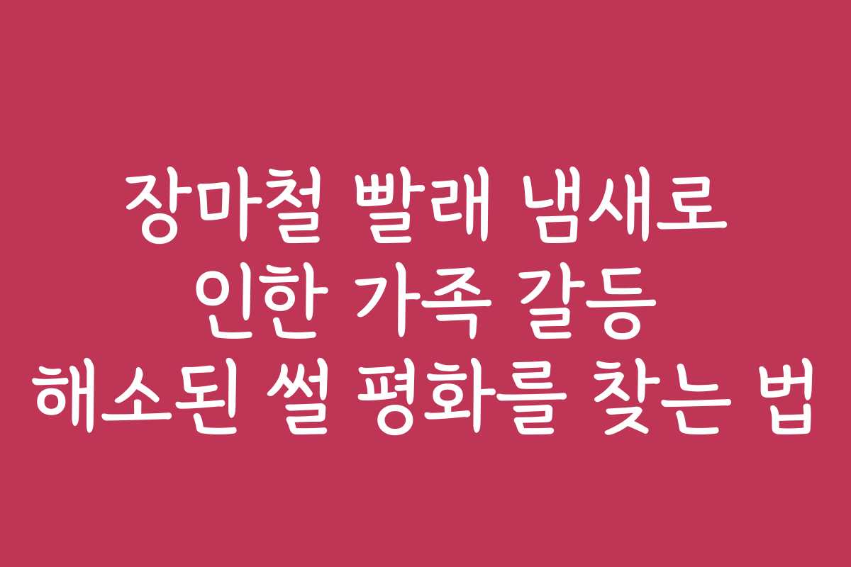 장마철 빨래 냄새로 인한 가족 갈등 해소된 썰 평화를 찾는 법