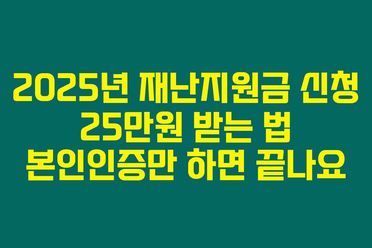 2025년 재난지원금 신청 25만원 받는 법 본인인증만 하면 끝나요