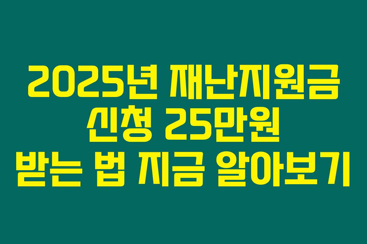 2025년 재난지원금 신청 25만원 받는 법 지금 알아보기
