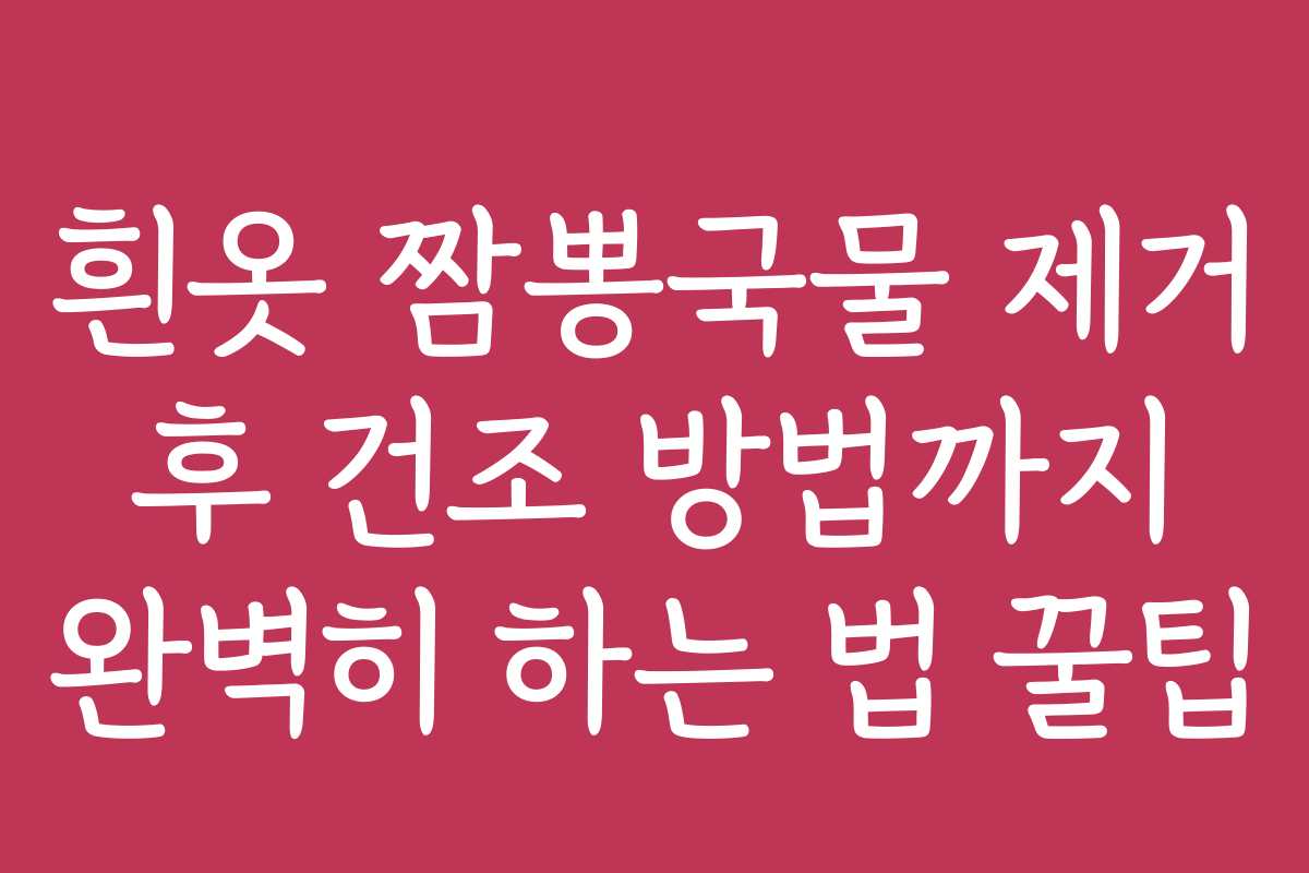 흰옷 짬뽕국물 제거 후 건조 방법까지 완벽히 하는 법 꿀팁