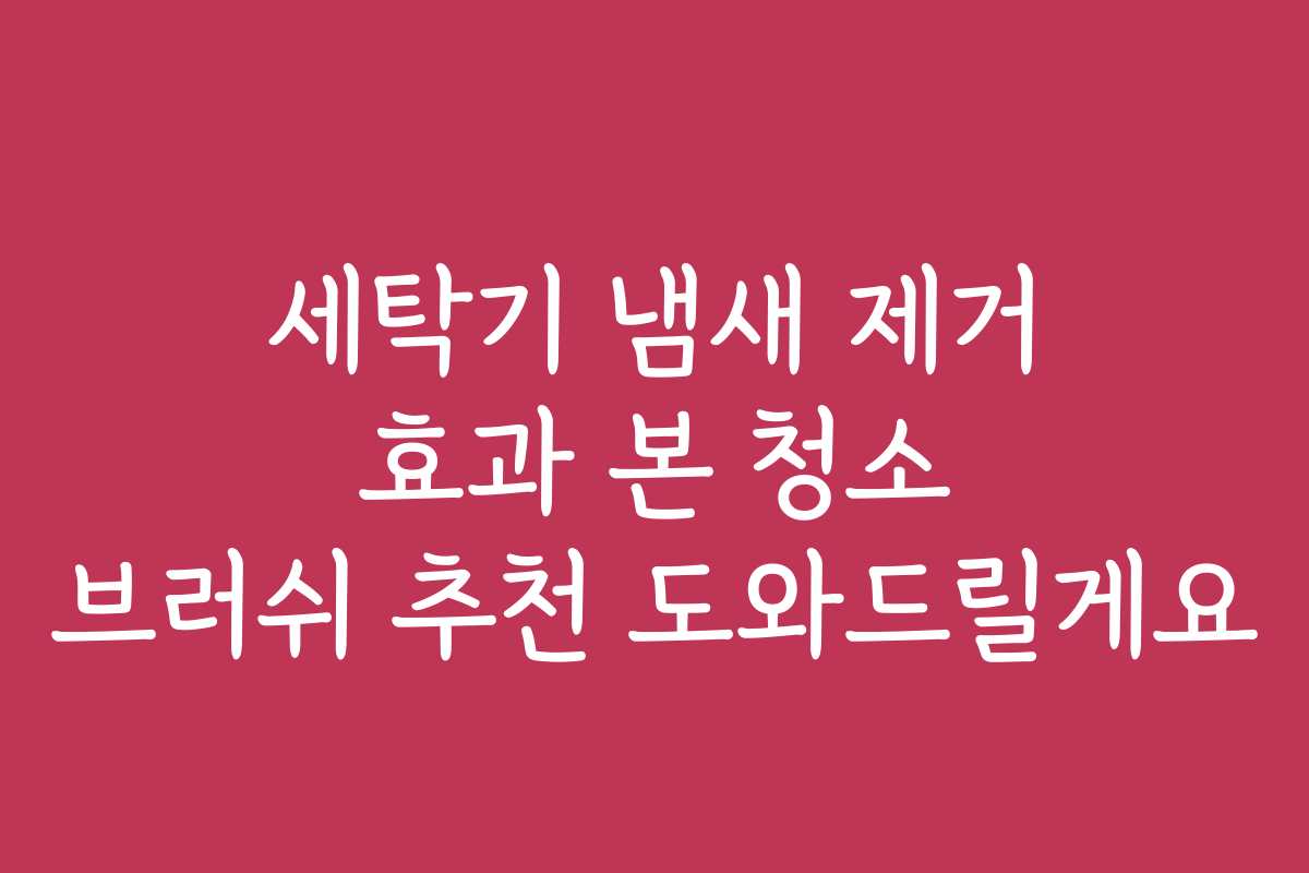 세탁기 냄새 제거 효과 본 청소 브러쉬 추천 도와드릴게요