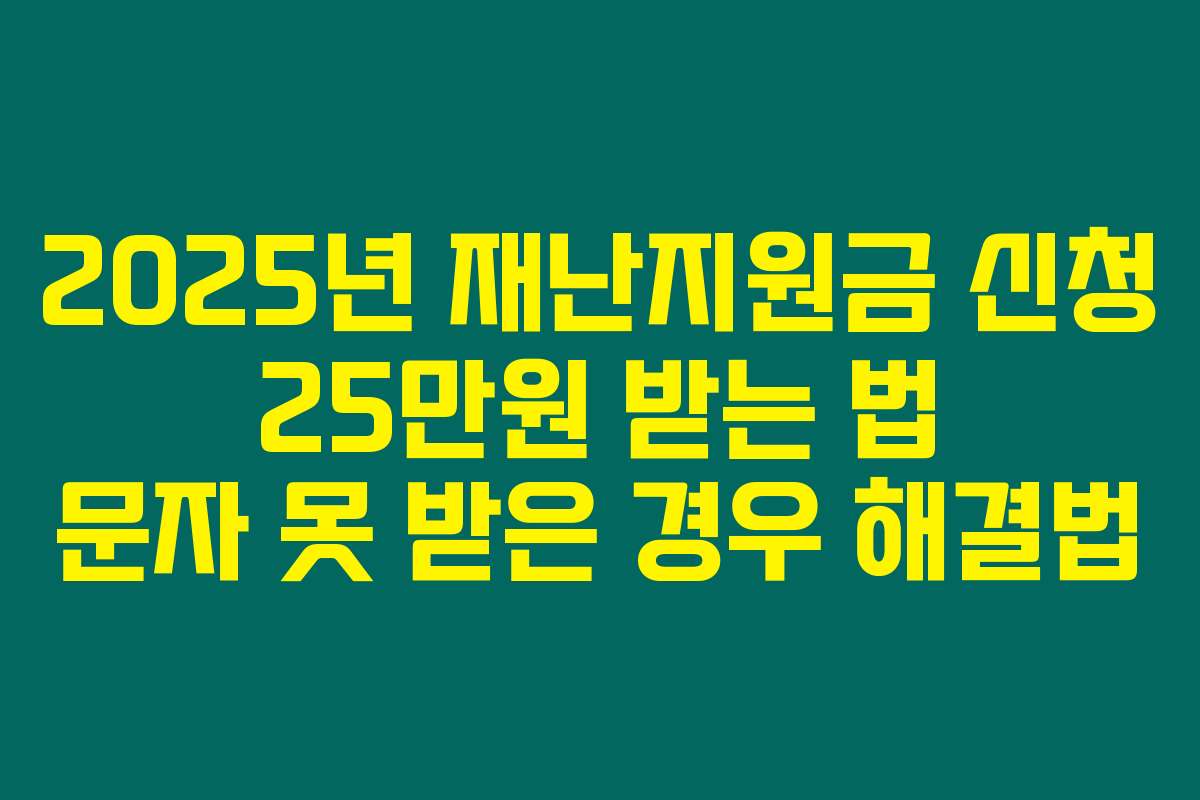 2025년 재난지원금 신청 25만원 받는 법 문자 못 받은 경우 해결법