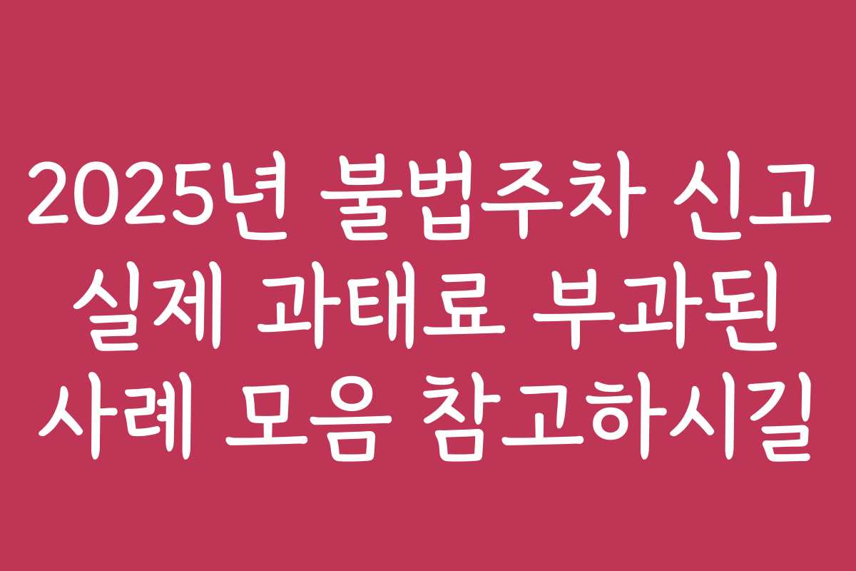 2025년 불법주차 신고 실제 과태료 부과된 사례 모음 참고하시길