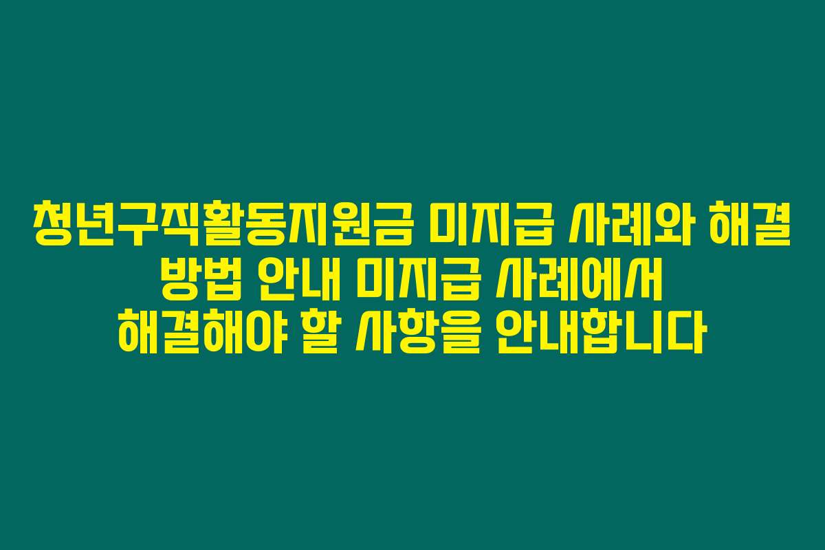 청년구직활동지원금 미지급 사례와 해결 방법 안내 미지급 사례에서 해결해야 할 사항을 안내합니다