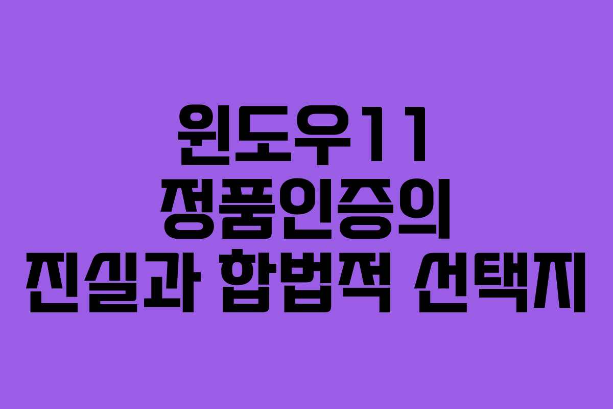 윈도우11 정품인증의 진실과 합법적 선택지