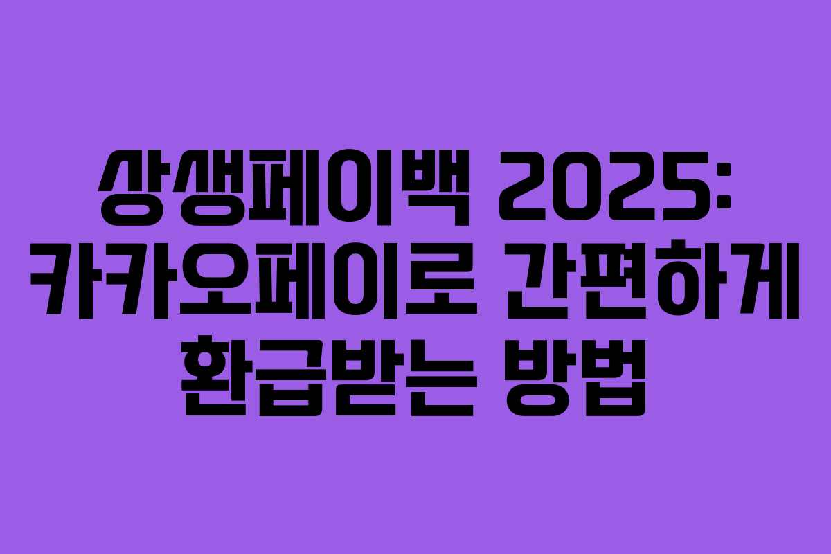 상생페이백 2025: 카카오페이로 간편하게 환급받는 방법