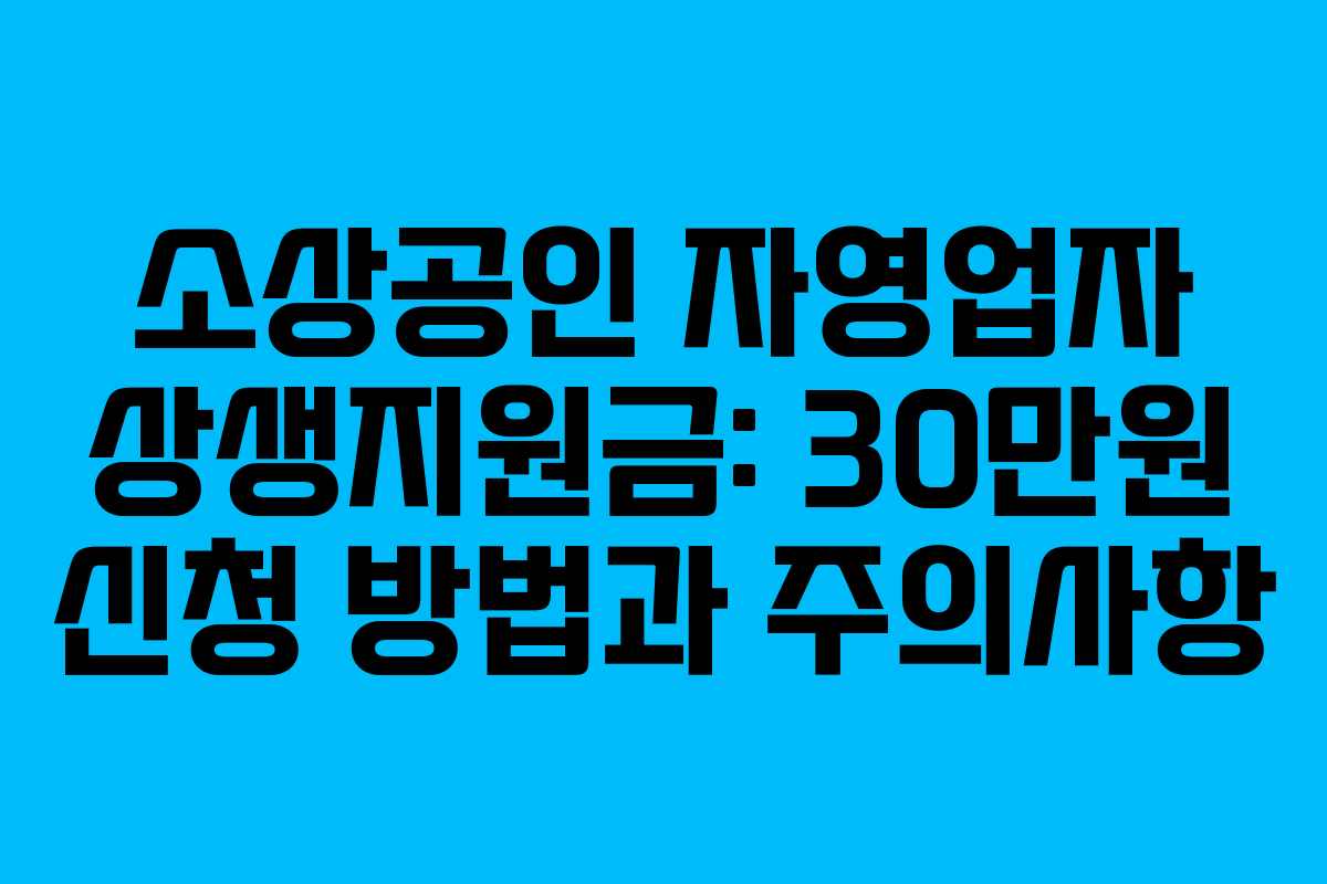 소상공인 자영업자 상생지원금: 30만원 신청 방법과 주의사항