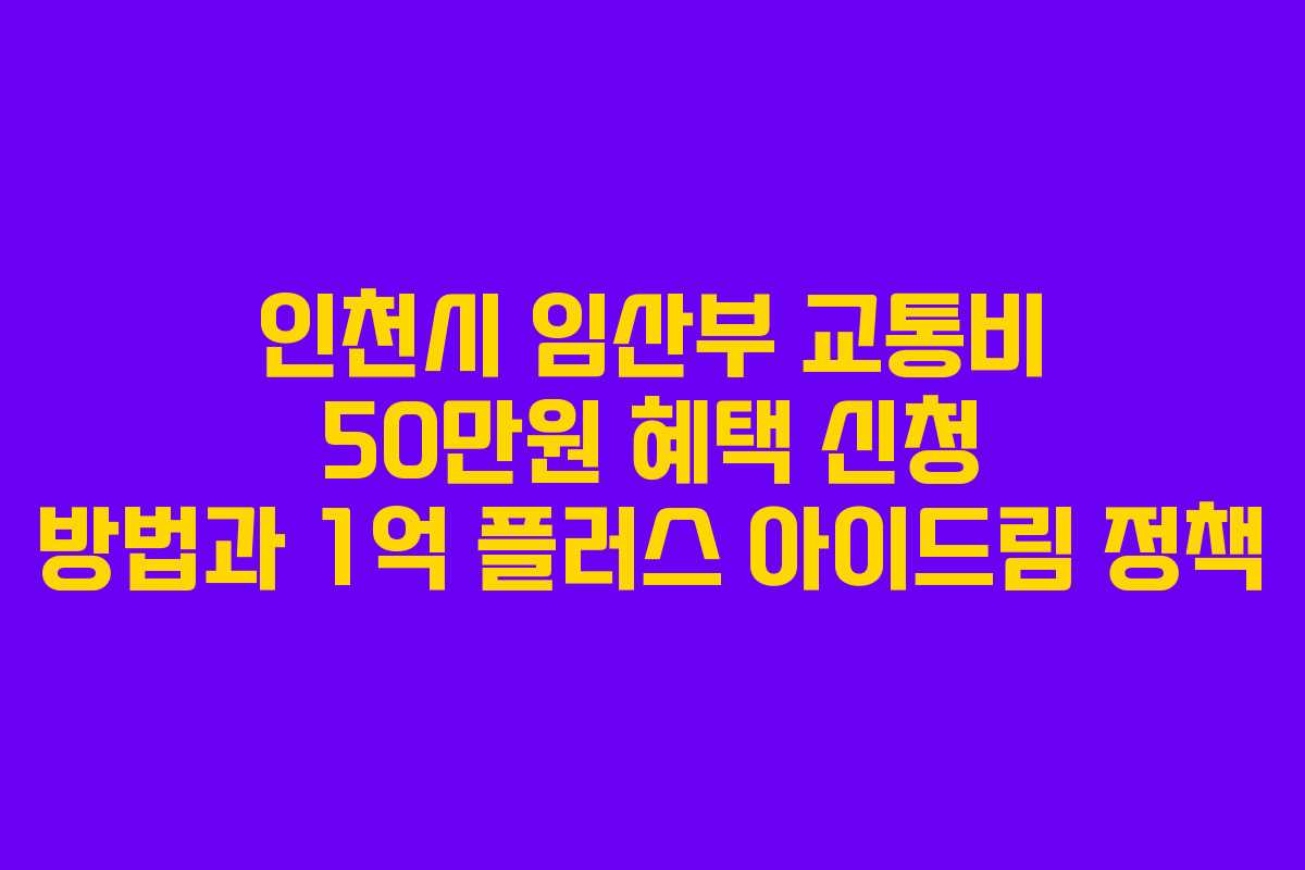 인천시 임산부 교통비 50만원 혜택 신청 방법과 1억 플러스 아이드림 정책