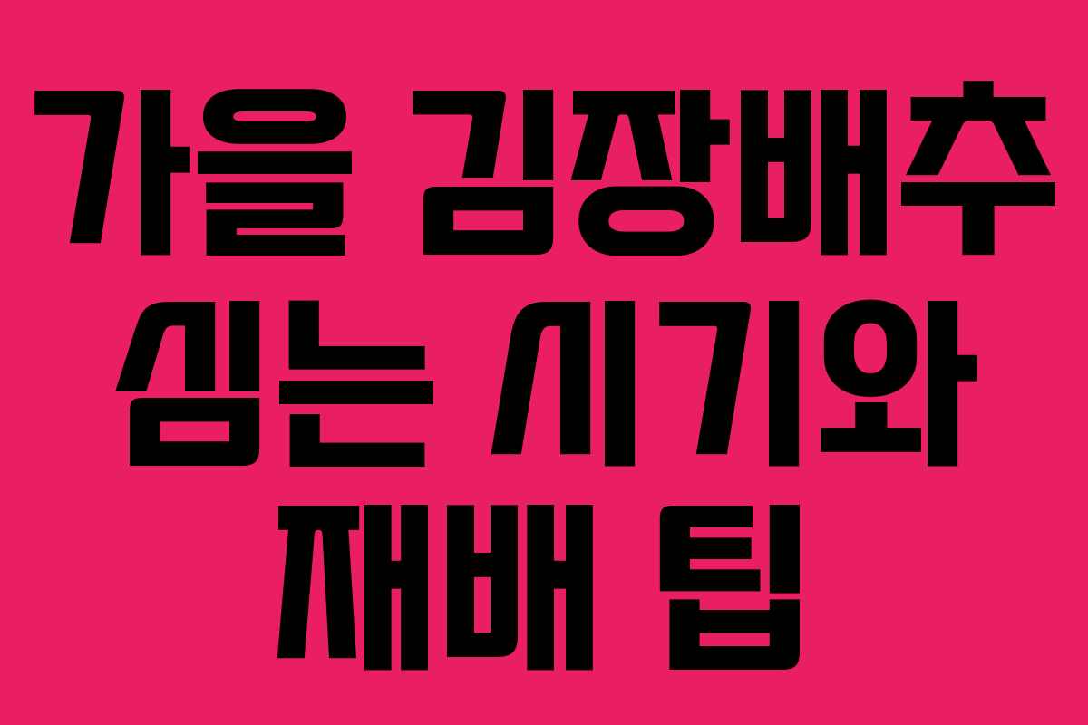 가을 김장배추 심는 시기와 재배 팁 가을 김장배추 심는 시기와 재배 팁