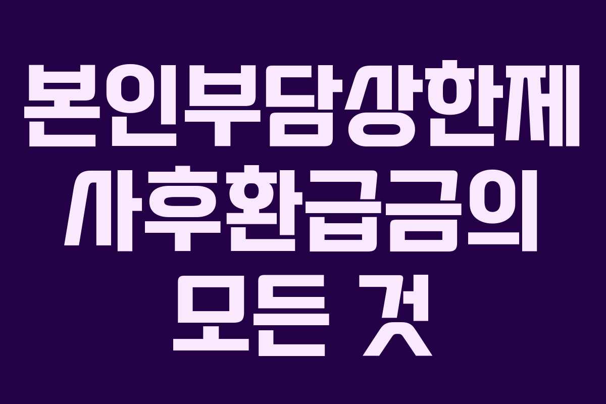 본인부담상한제 사후환급금의 모든 것