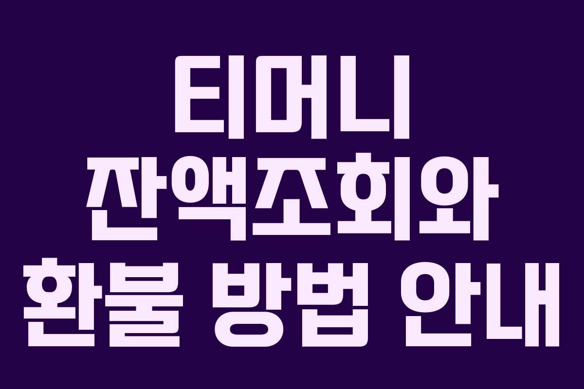 티머니 잔액조회와 환불 방법 안내 티머니 잔액조회와 환불 방법 안내