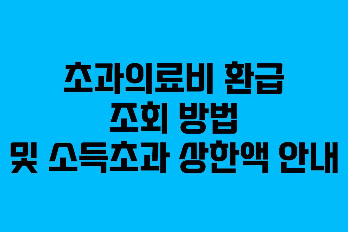 초과의료비 환급 조회 방법 및 소득초과 상한액 안내