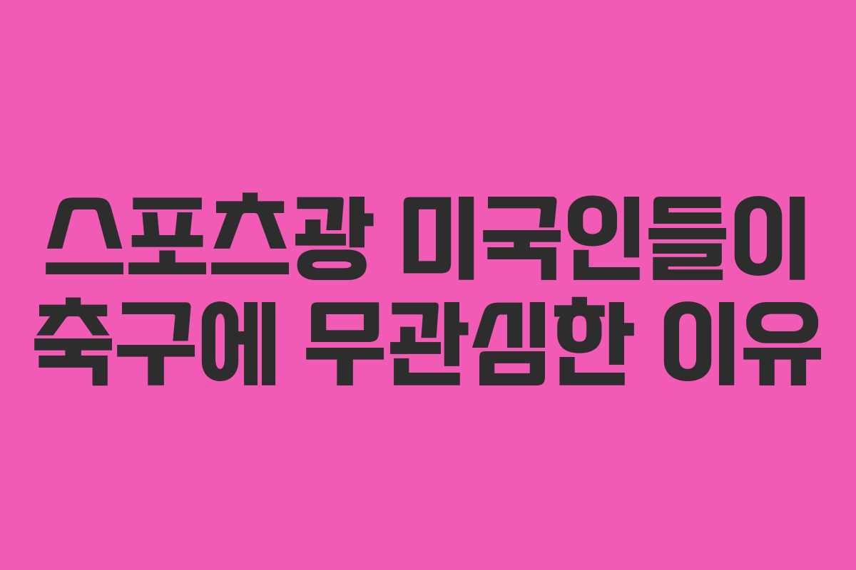 스포츠광 미국인들이 축구에 무관심한 이유 스포츠광 미국인들이 축구에 무관심한 이유