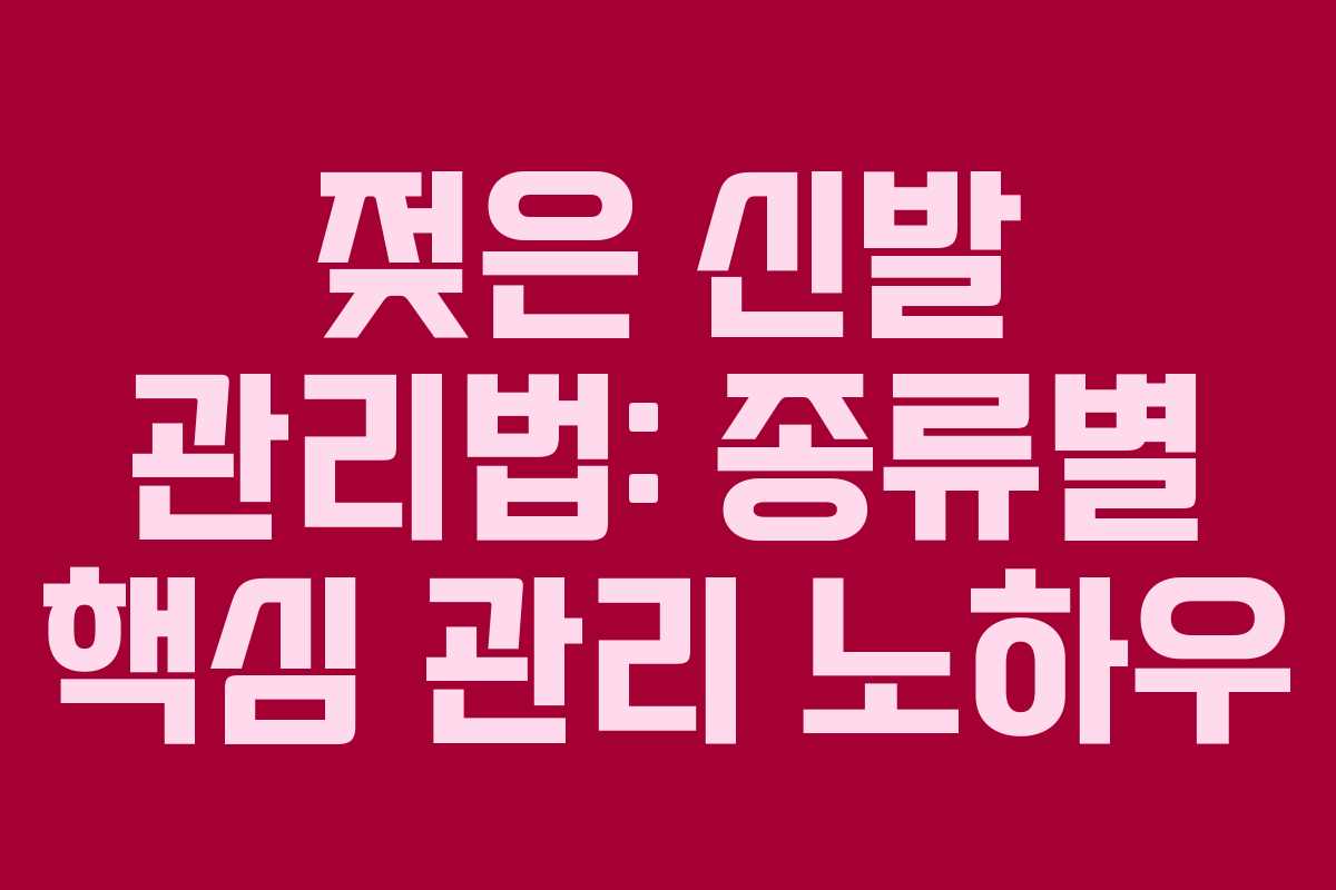 젖은 신발 관리법: 종류별 핵심 관리 노하우 젖은 신발 관리법: 종류별 핵심 관리 노하우