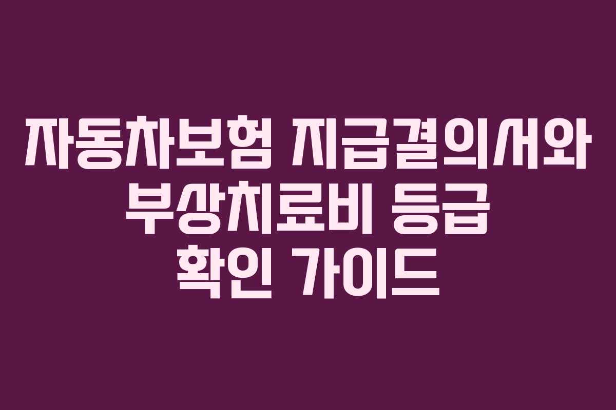 자동차보험 지급결의서와 부상치료비 등급 확인 가이드 자동차보험 지급결의서와 부상치료비 등급 확인 가이드