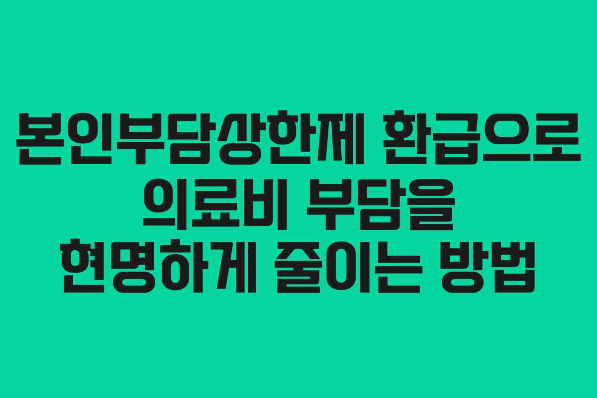 본인부담상한제 환급으로 의료비 부담을 현명하게 줄이는 방법