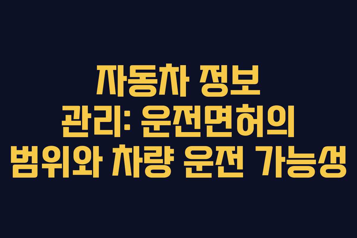 자동차 정보 관리: 운전면허의 범위와 차량 운전 가능성