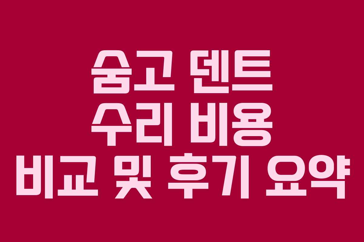 숨고 덴트 수리 비용 비교 및 후기 요약