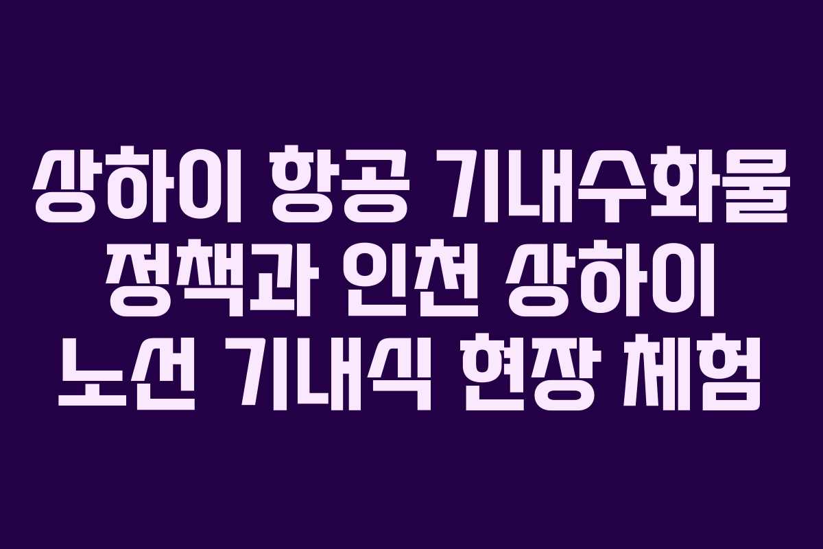 상하이 항공 기내수화물 정책과 인천 상하이 노선 기내식 현장 체험