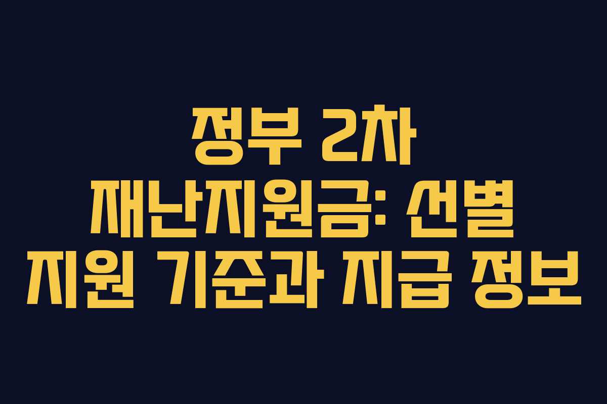 정부 2차 재난지원금: 선별 지원 기준과 지급 정보