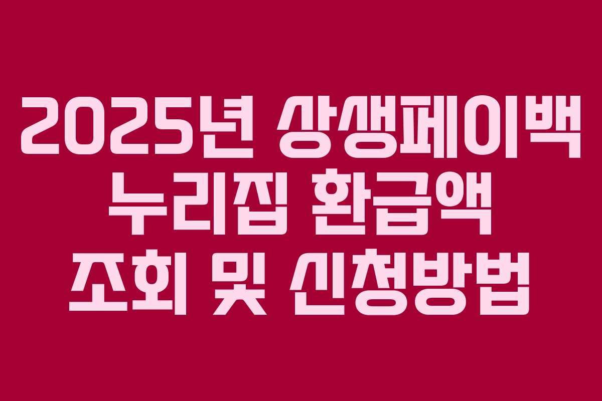 2025년 상생페이백 누리집 환급액 조회 및 신청방법 2025년 상생페이백 누리집 환급액 조회 및 신청방법