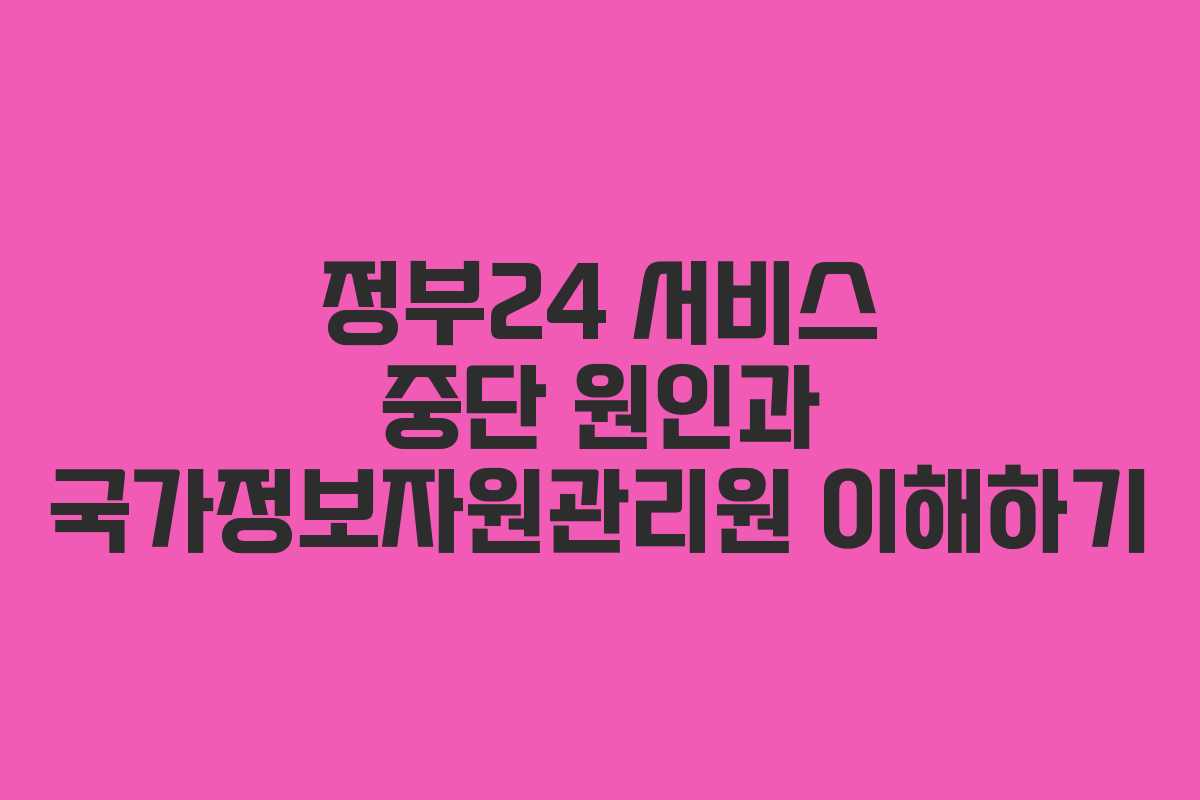 정부24 서비스 중단 원인과 국가정보자원관리원 이해하기 정부24 서비스 중단 원인과 국가정보자원관리원 이해하기