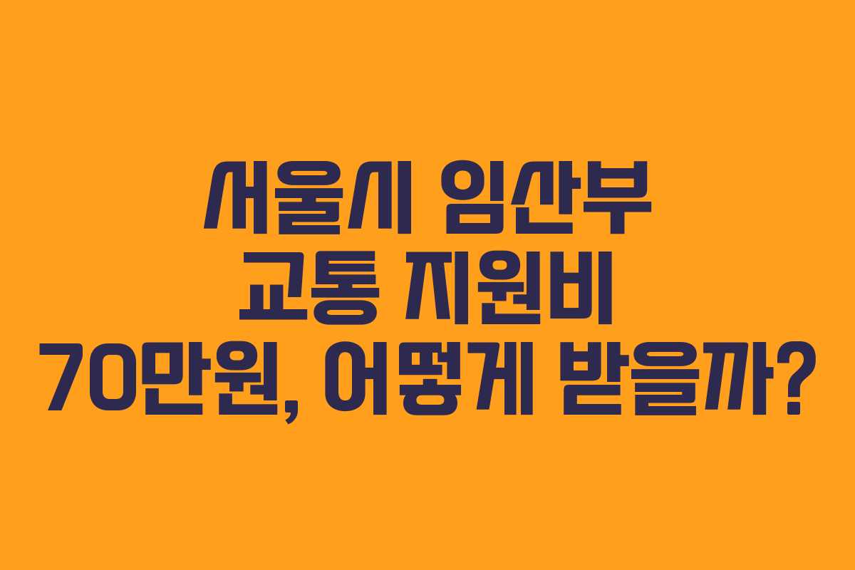 서울시 임산부 교통 지원비 70만원, 어떻게 받을까?