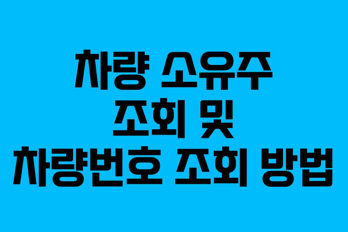 차량 소유주 조회 및 차량번호 조회 방법