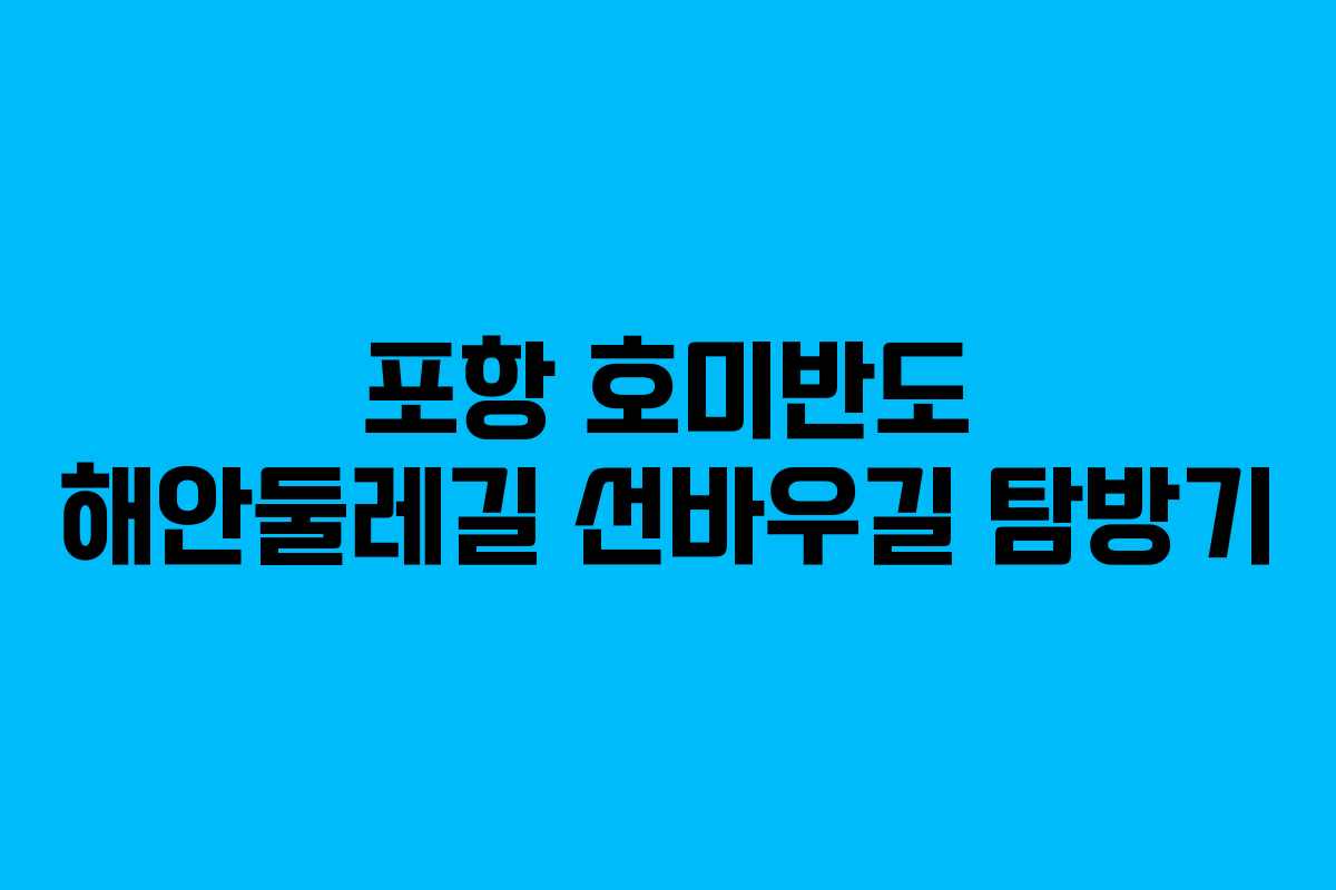 포항 호미반도 해안둘레길 선바우길 탐방기