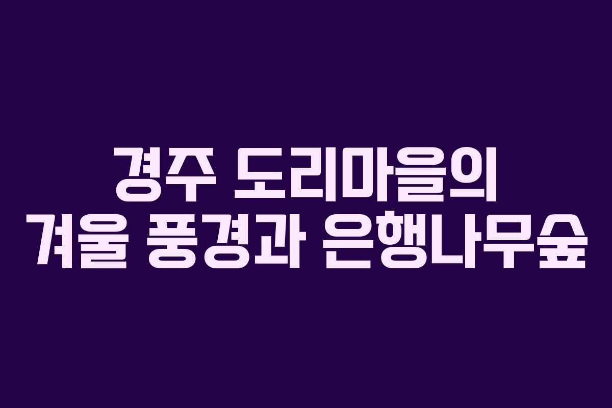 경주 도리마을의 겨울 풍경과 은행나무숲