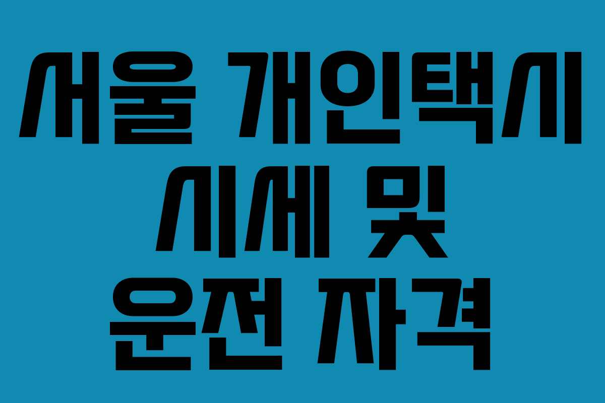 서울 개인택시 시세 및 운전 자격