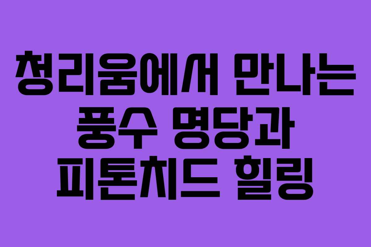 청리움에서 만나는 풍수 명당과 피톤치드 힐링 청리움에서 만나는 풍수 명당과 피톤치드 힐링